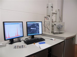 SCANNING ELECTRONIC MICROSCOPE